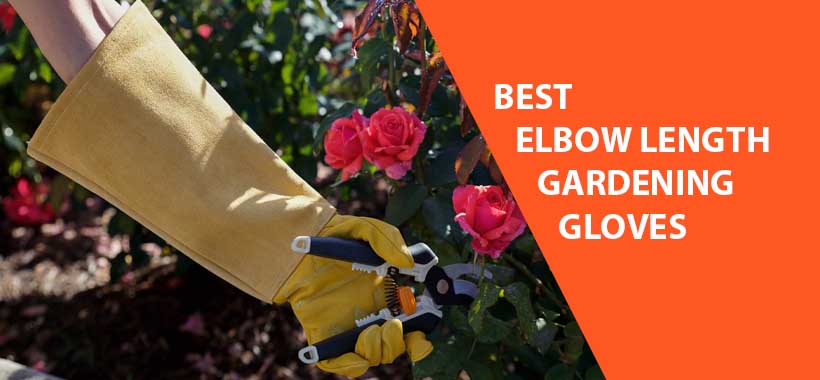 Gardening Gloves To Elbow