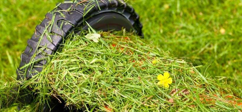 Allergies from Lawn Mowing: Symptoms, Remedies and Protection | Yard