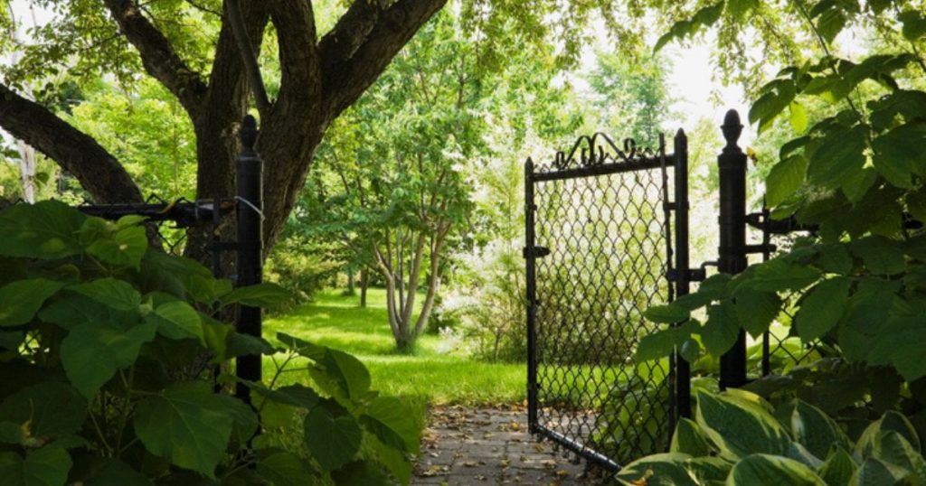 How to Paint a Chain Link Fence Yard Work HQ